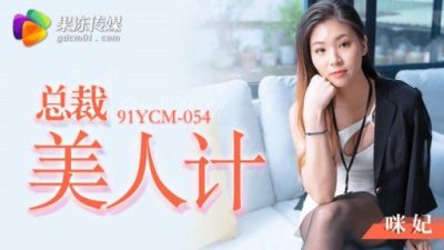 President Beauty Mi Fei